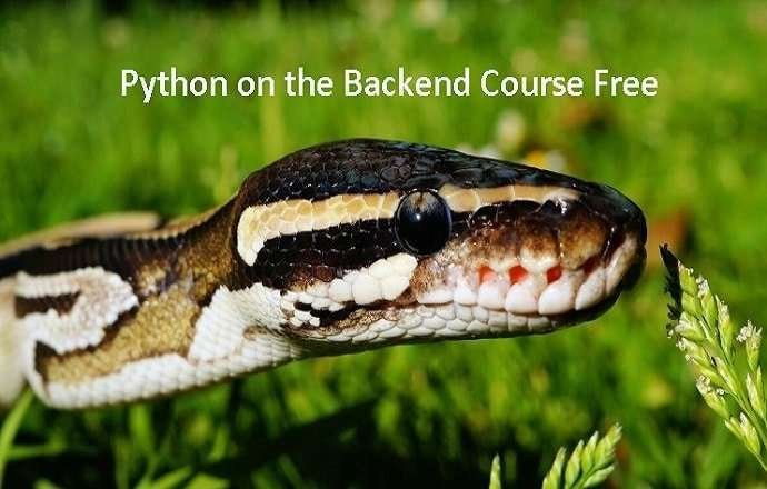 Python on the Backend Udemy Course Free