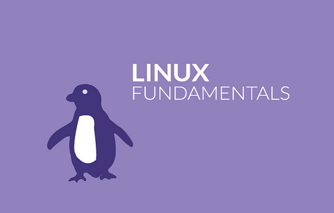 Linux Fundamentals For IT Professionals Udemy Course Free - Ecoursefree