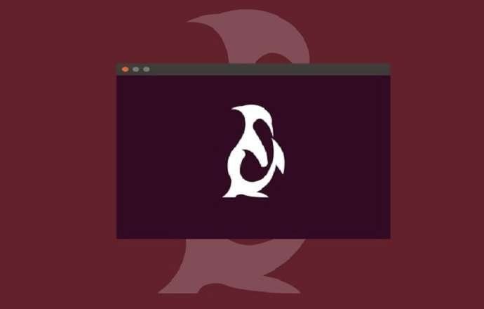 Linux Basics For Beginners Free Course Udemy