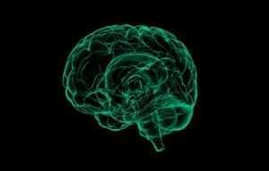 WealthyBrainHack Hack Your Way to An Ultimate Success Course Free