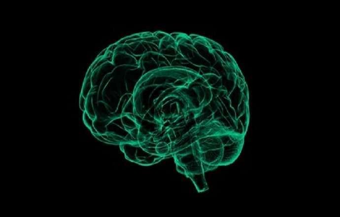 WealthyBrainHack Hack Your Way to An Ultimate Success Course Free