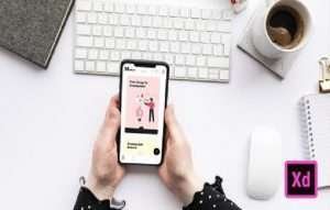 UI-UX Adobe XD Masterclass App Designing Guide to Earning Course Free