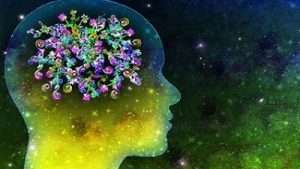Dynamic Memory and Learning Skills Course Free