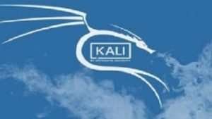 Kali Linux 2020.4 Optimization Before Hacking Course Free