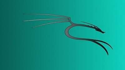 Learn Ethical Hacking Basics Kali Online Course Free 2021
