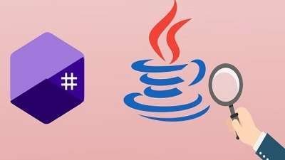Reverse Engineering and Malware Analysis of .NET, Java Course Free