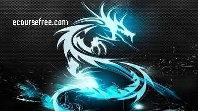 Learn Ethical Hacking with Kali Linux Hacking OS Online Course Free