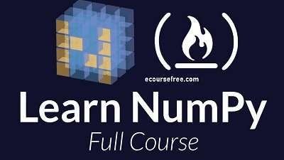 NumPy For Data Science Beginners Online Course Free